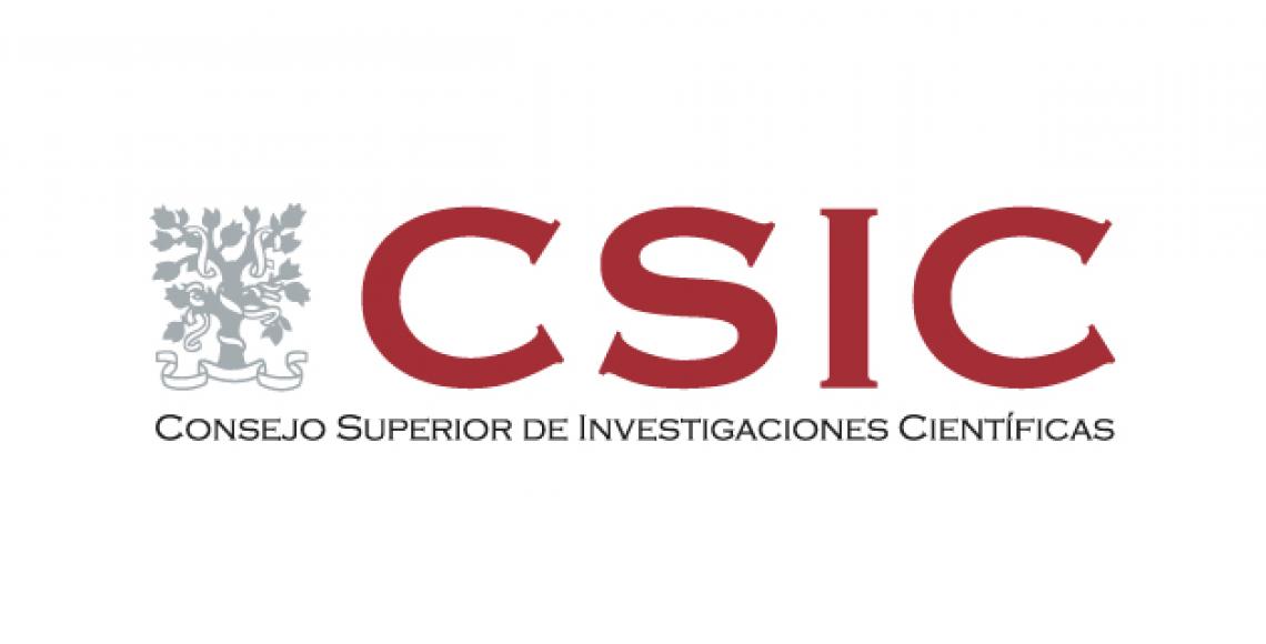 CSIC-informe