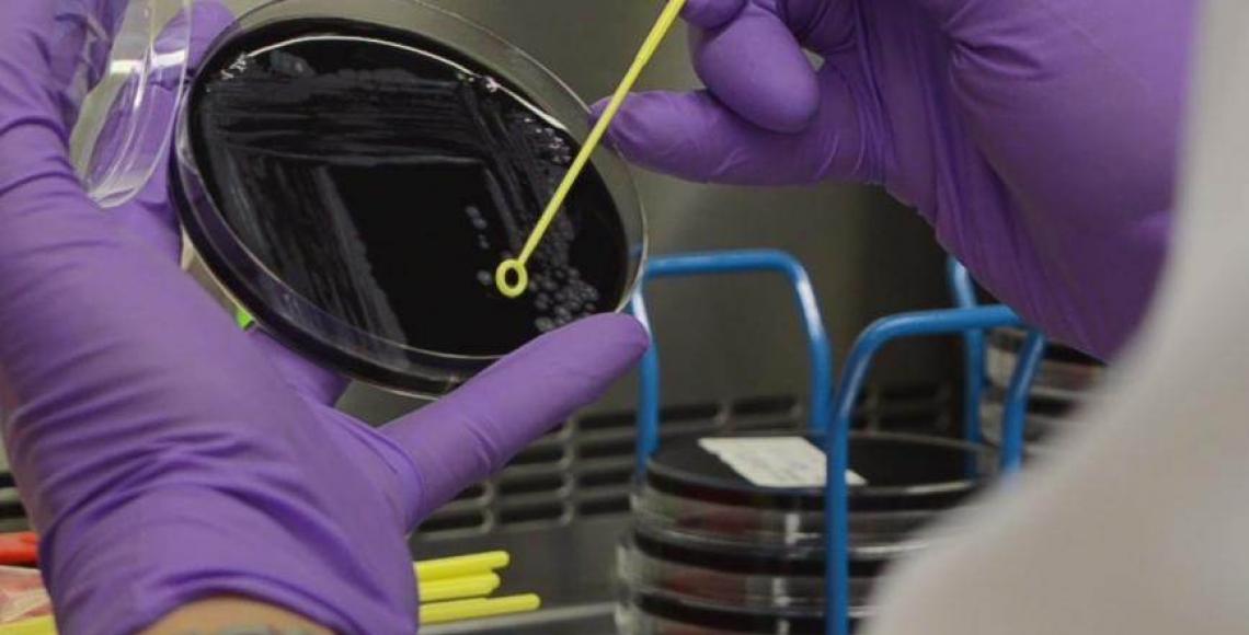 Jornada para conocer el nuevo marco técnico en Legionella